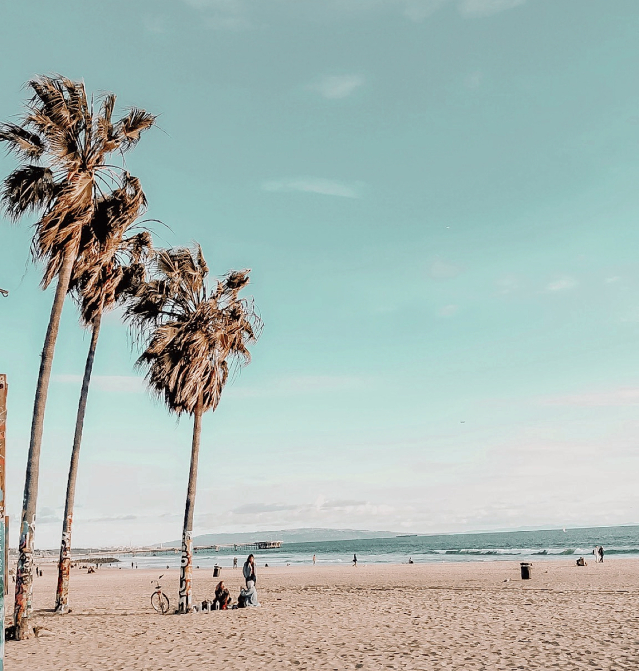 How to Spend a Day in Venice Beach California